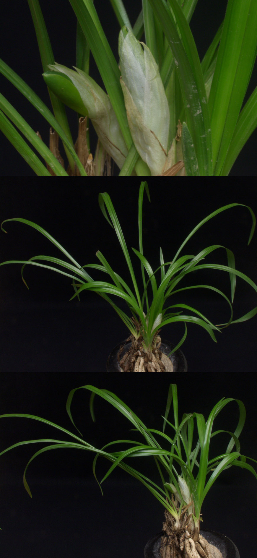 ������ ū������ �� �� �ֽ��ϴ�.