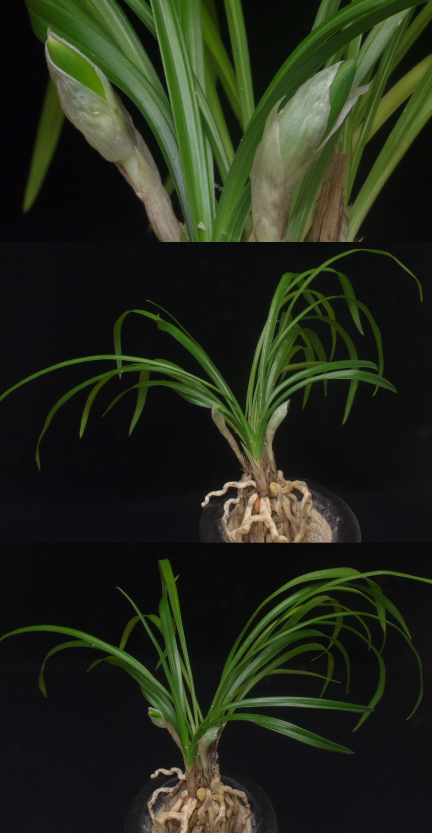 ������ ū������ �� �� �ֽ��ϴ�.