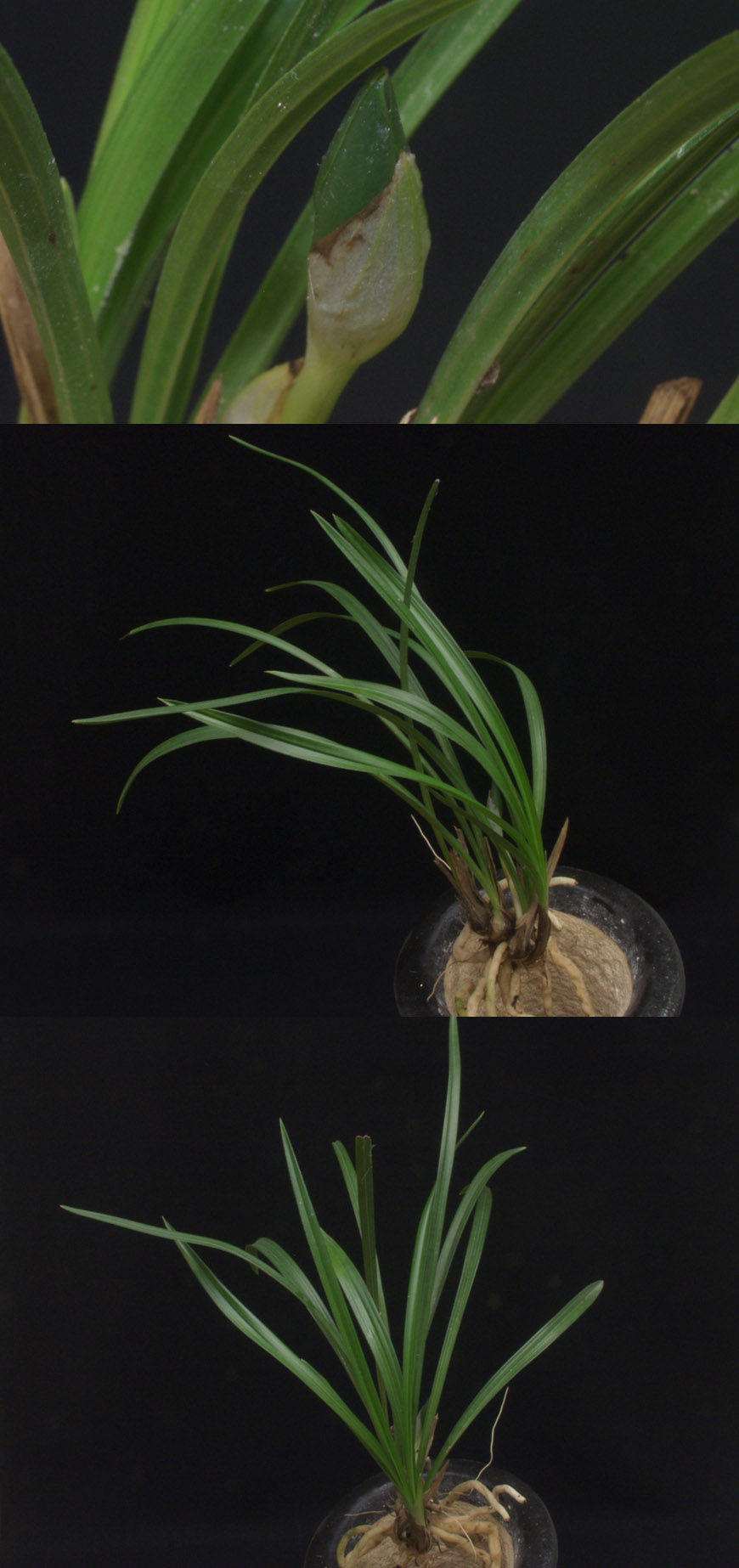 ������ ū������ �� �� �ֽ��ϴ�.