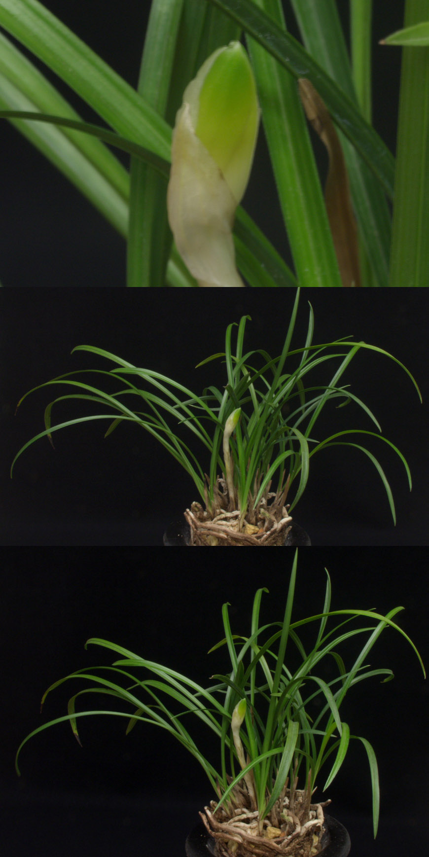 ������ ū������ �� �� �ֽ��ϴ�.