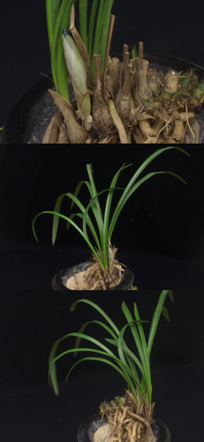 ������ ū������ �� �� �ֽ��ϴ�.