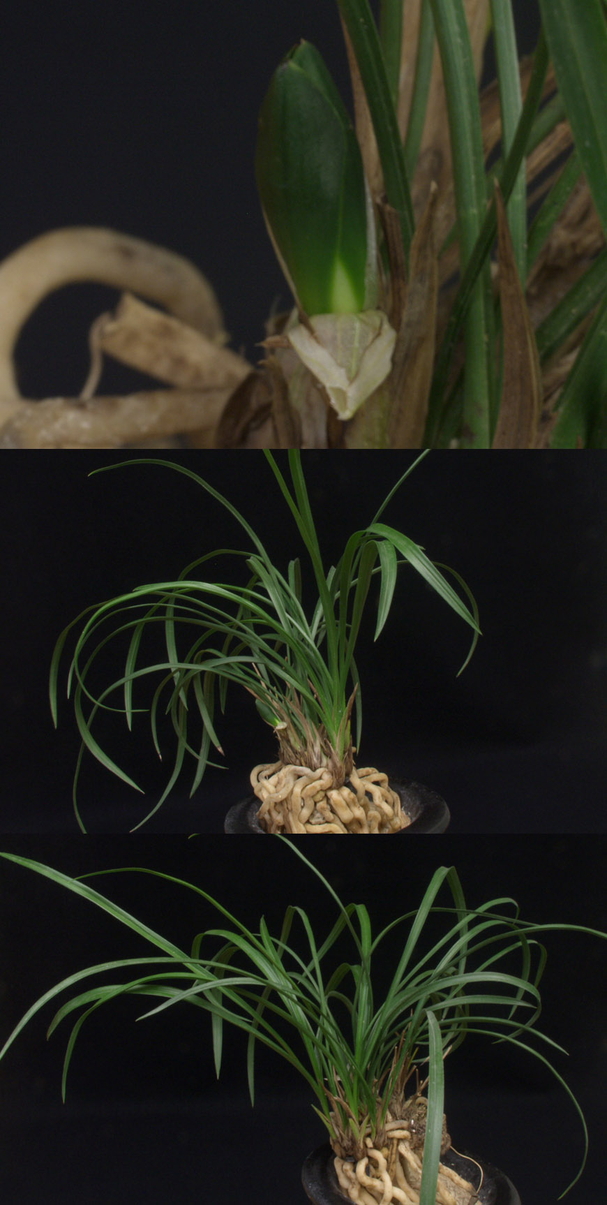 ������ ū������ �� �� �ֽ��ϴ�.