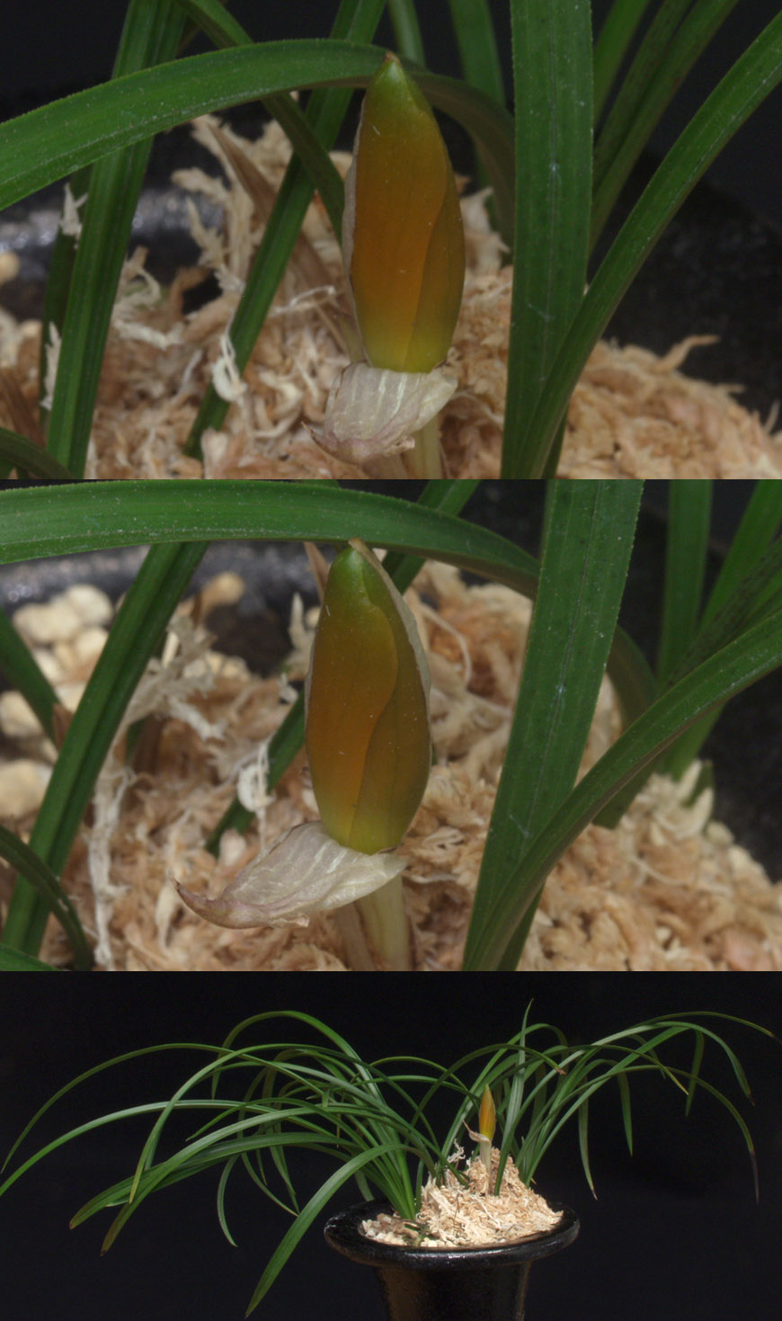 ������ ū������ �� �� �ֽ��ϴ�.