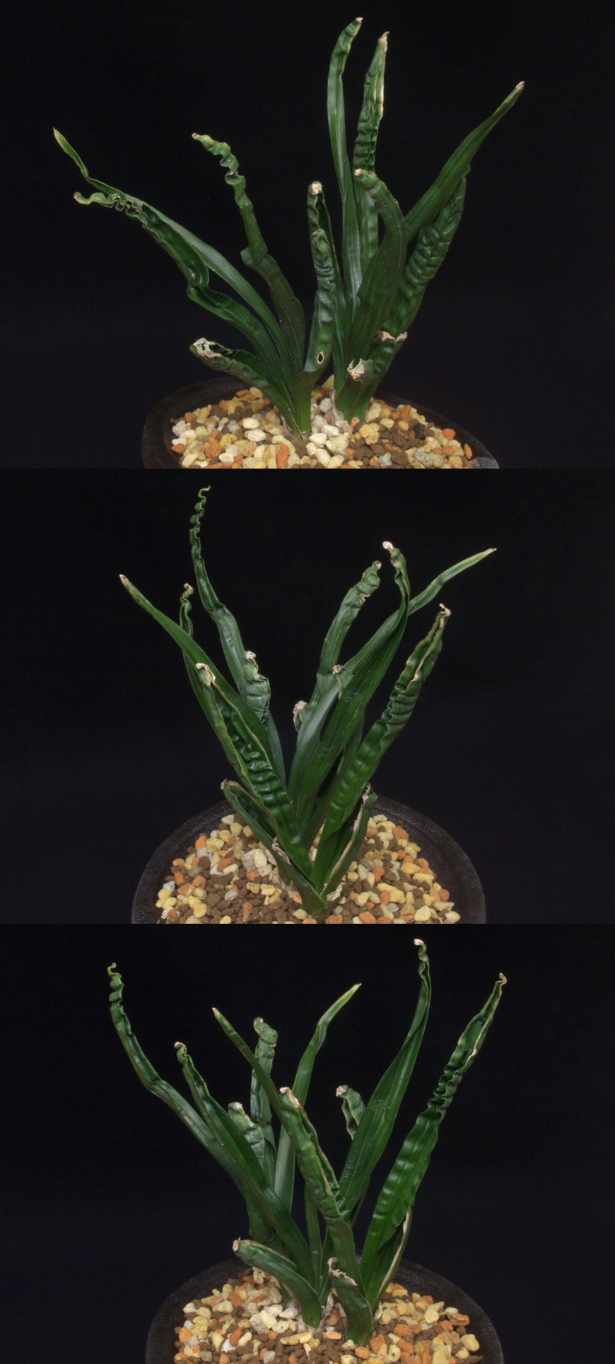 ������ ū������ �� �� �ֽ��ϴ�.