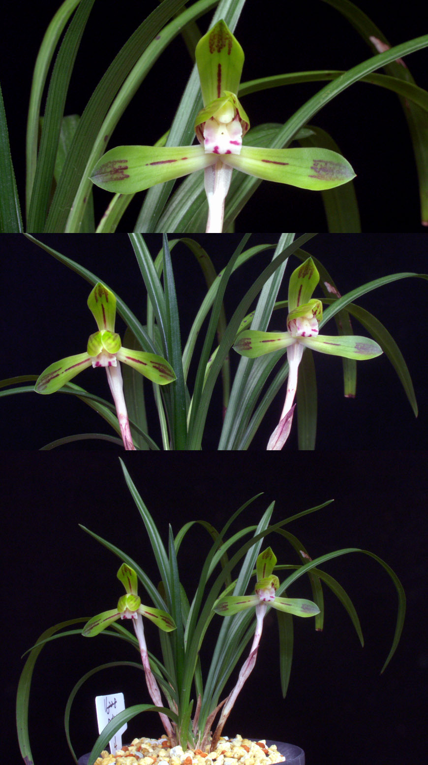 ������ ū������ �� �� �ֽ��ϴ�.