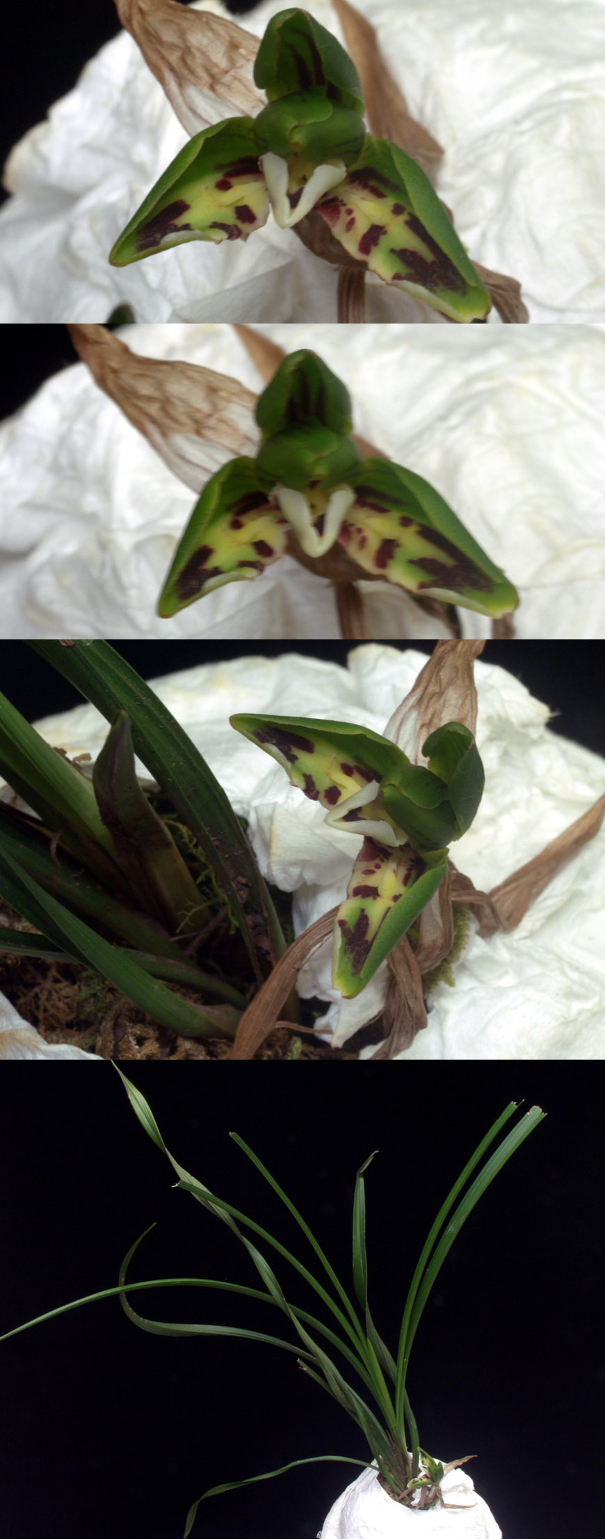 ������ ū������ �� �� �ֽ��ϴ�.