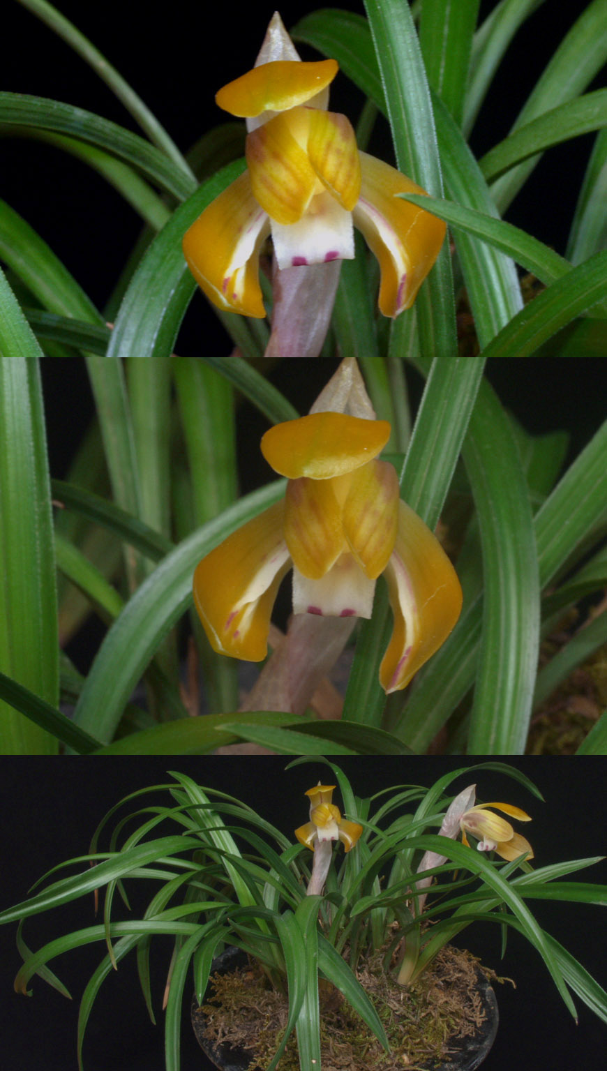 ������ ū������ �� �� �ֽ��ϴ�.