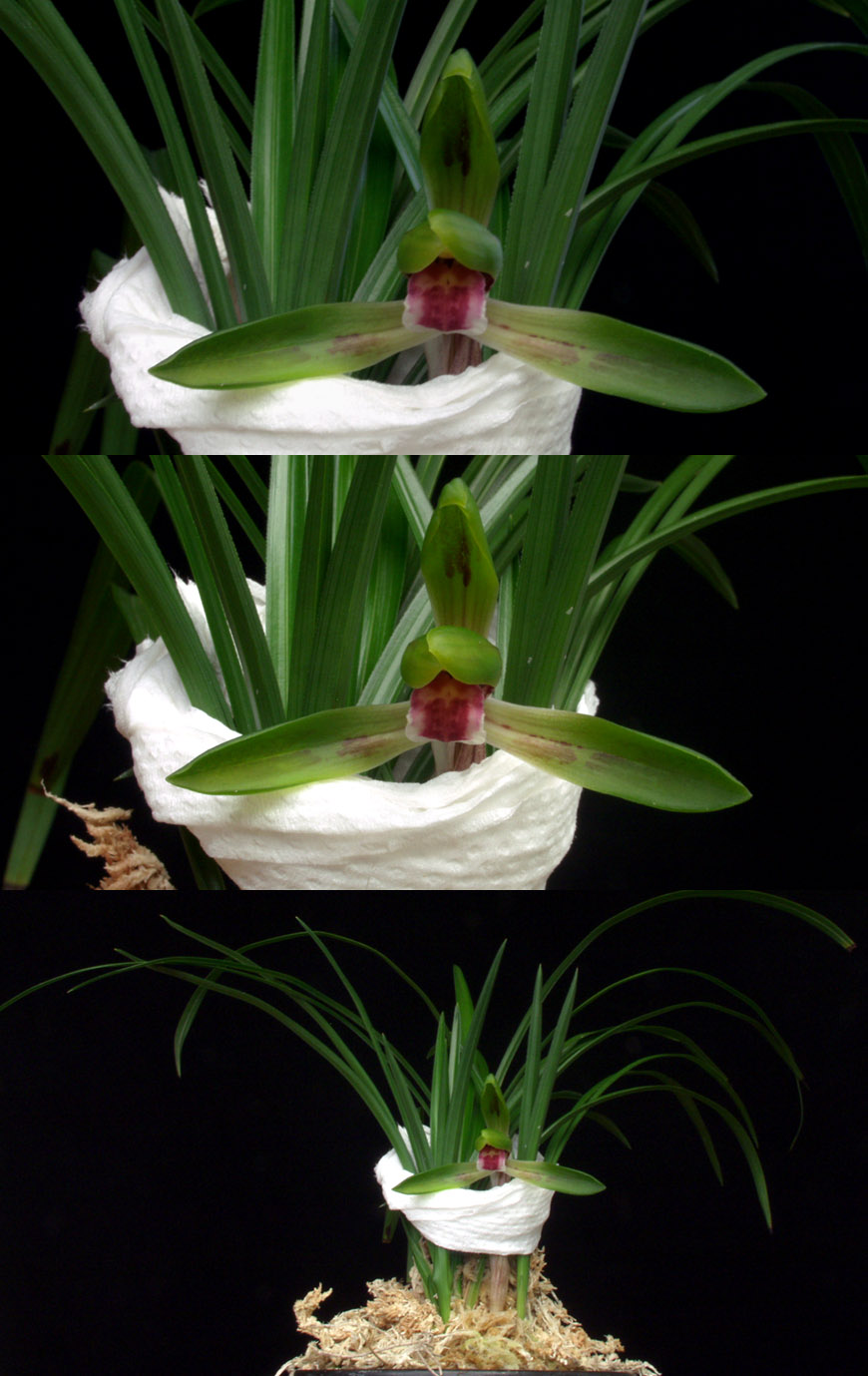 ������ ū������ �� �� �ֽ��ϴ�.