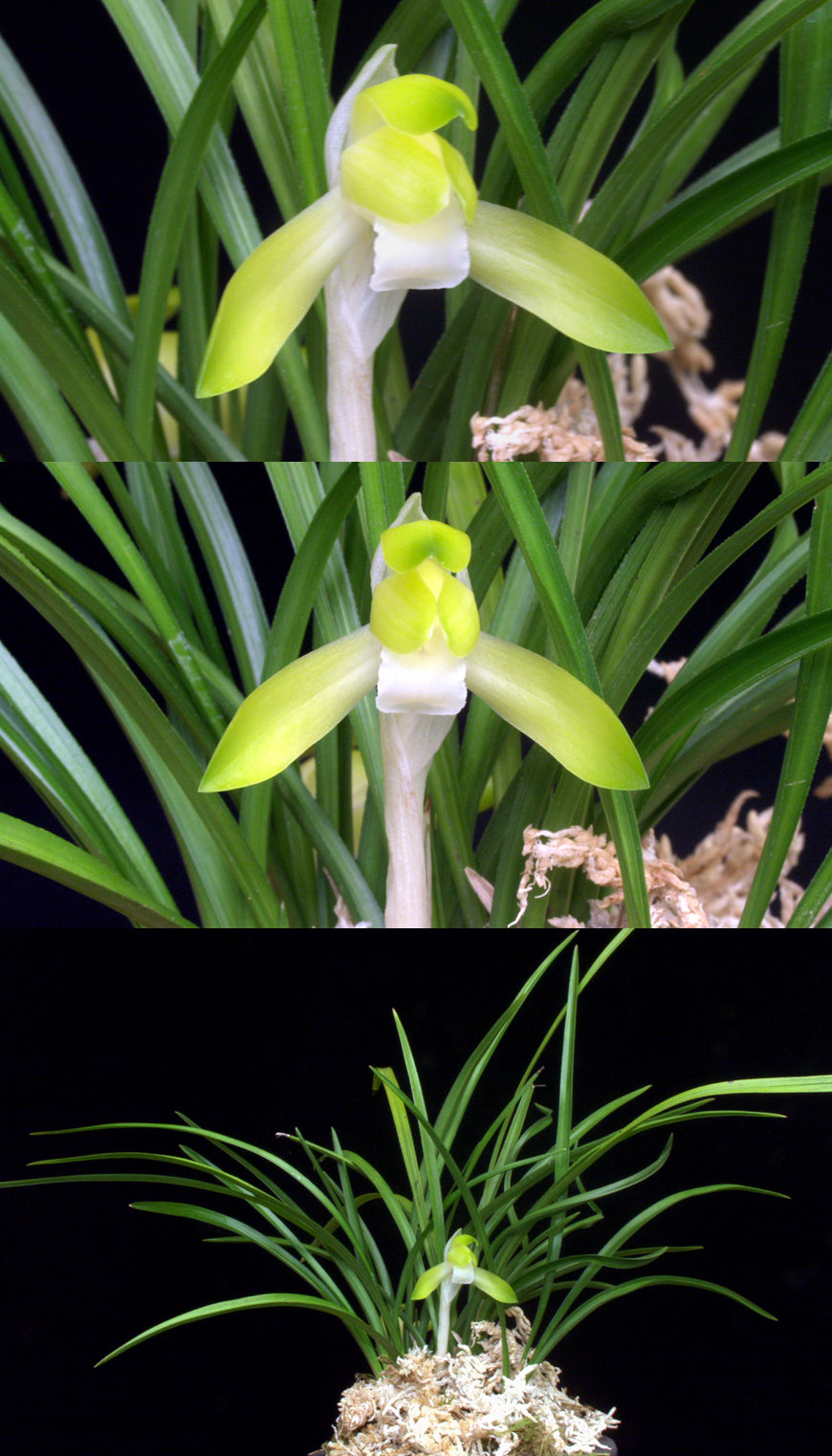 ������ ū������ �� �� �ֽ��ϴ�.