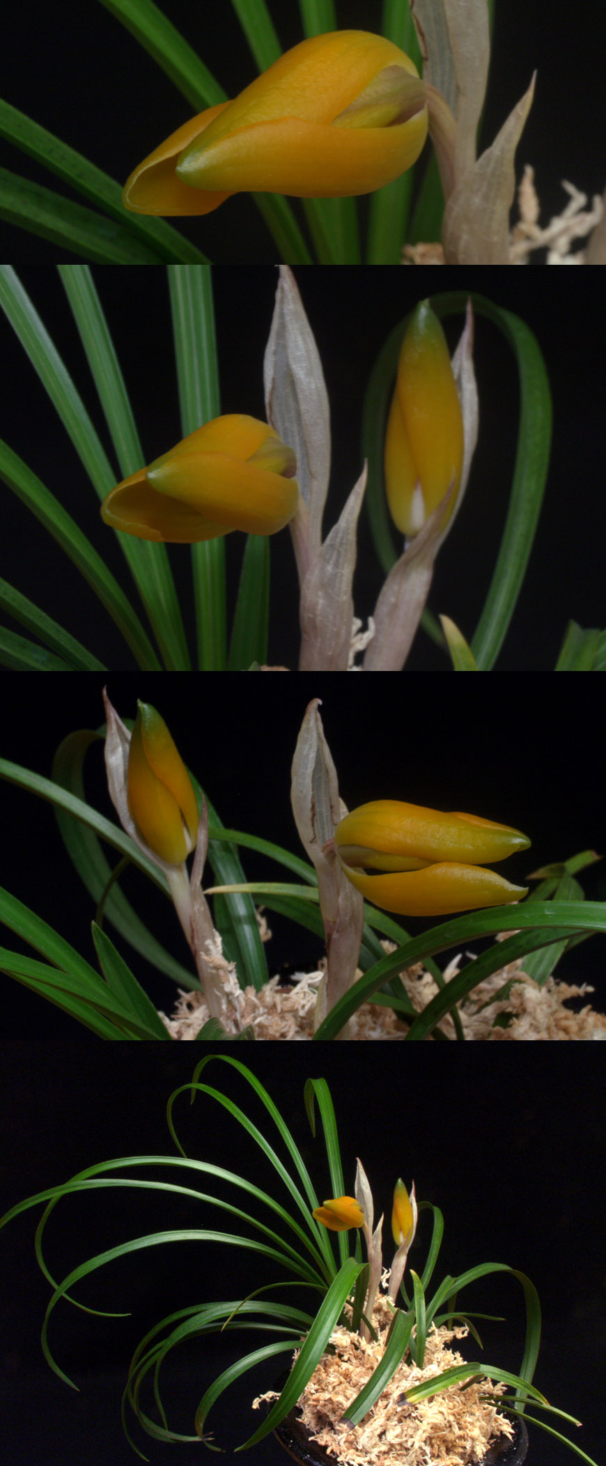 ������ ū������ �� �� �ֽ��ϴ�.