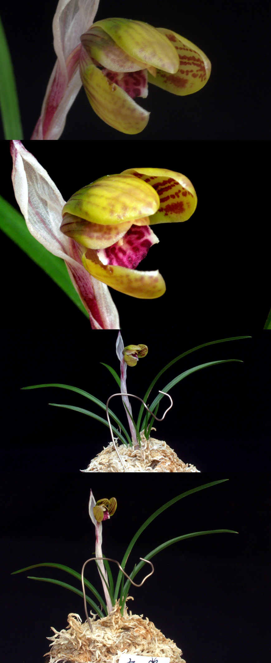 ������ ū������ �� �� �ֽ��ϴ�.