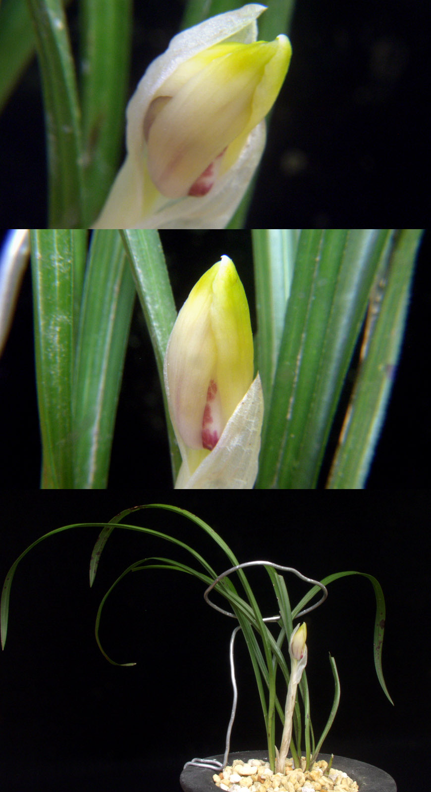 ������ ū������ �� �� �ֽ��ϴ�.