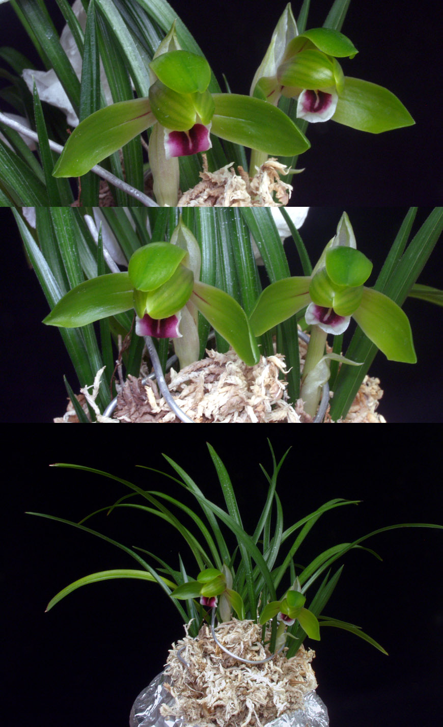 ������ ū������ �� �� �ֽ��ϴ�.