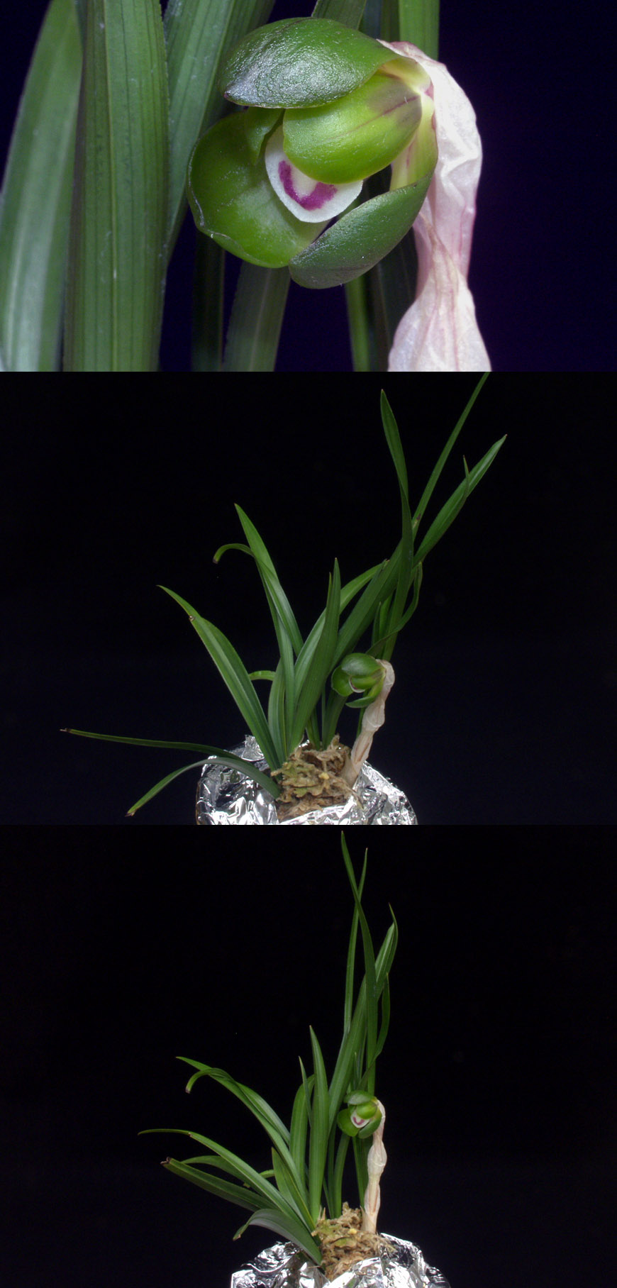 ������ ū������ �� �� �ֽ��ϴ�.