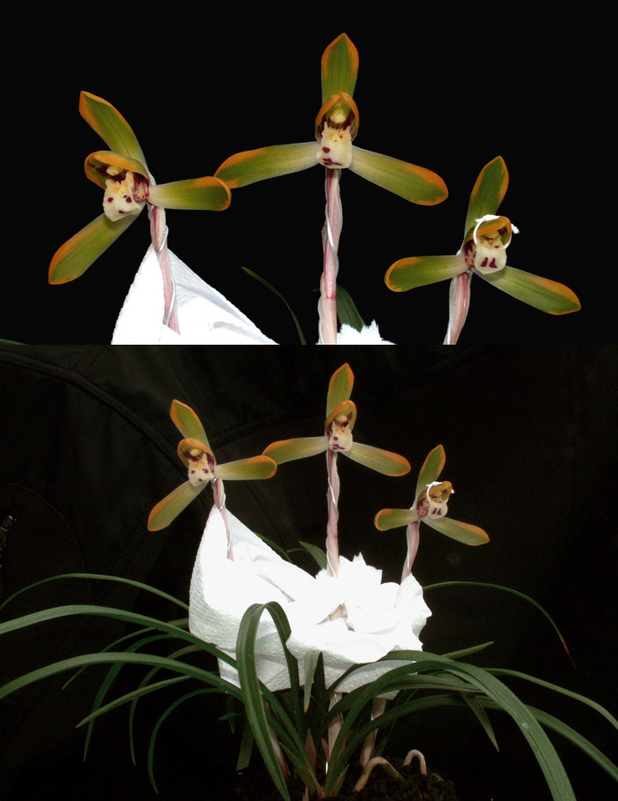 ������ ū������ �� �� �ֽ��ϴ�.