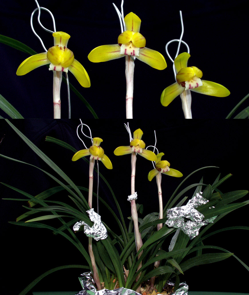 ������ ū������ �� �� �ֽ��ϴ�.