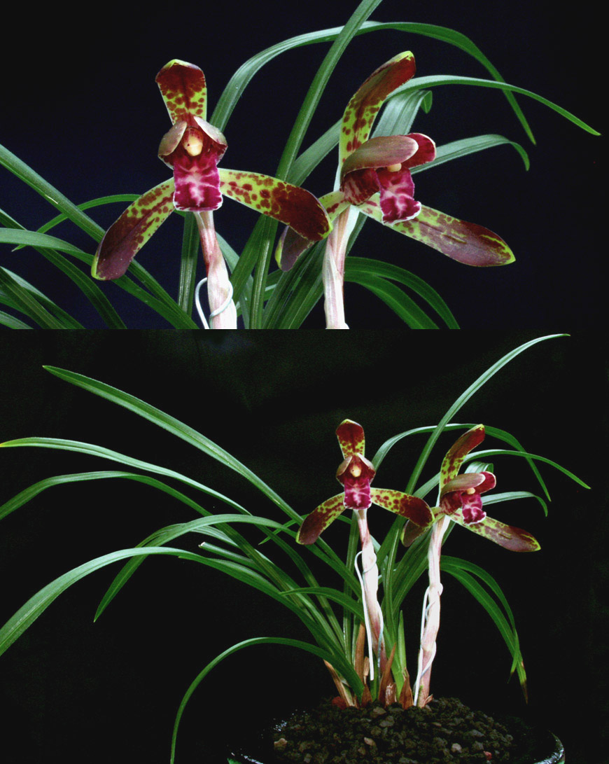 ������ ū������ �� �� �ֽ��ϴ�.