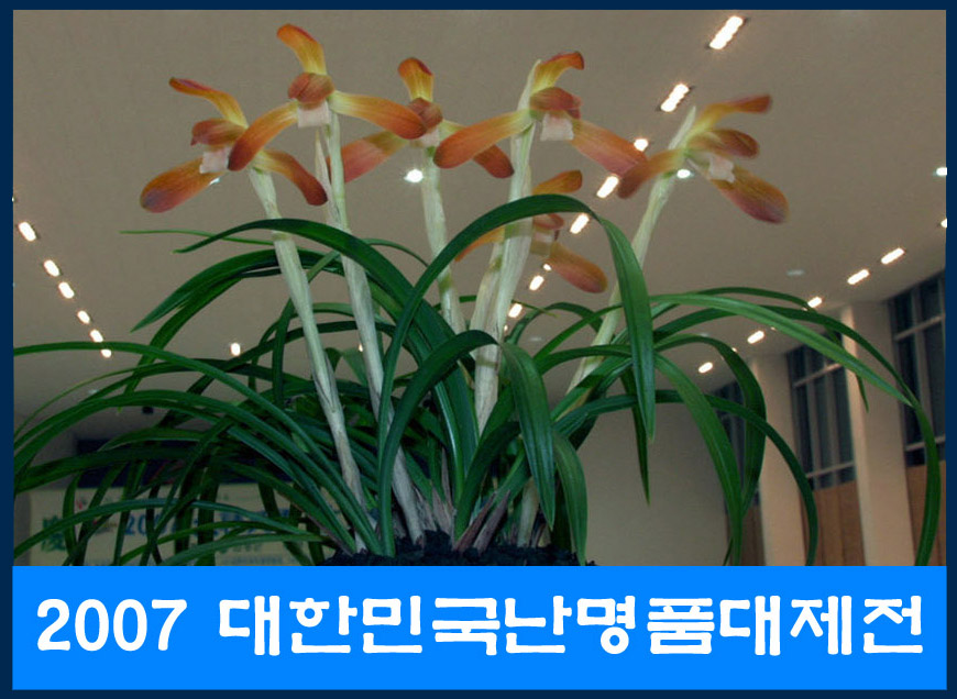 ������ ū������ �� �� �ֽ��ϴ�.