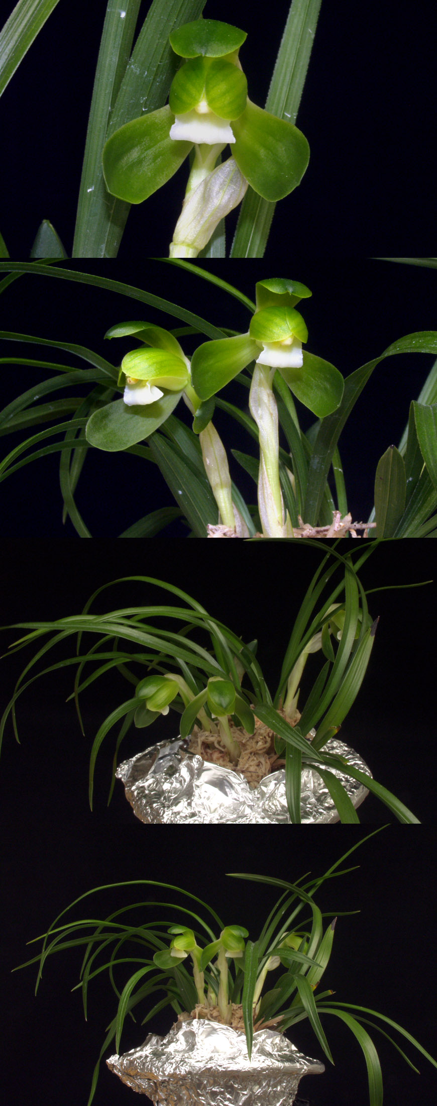 ������ ū������ �� �� �ֽ��ϴ�.