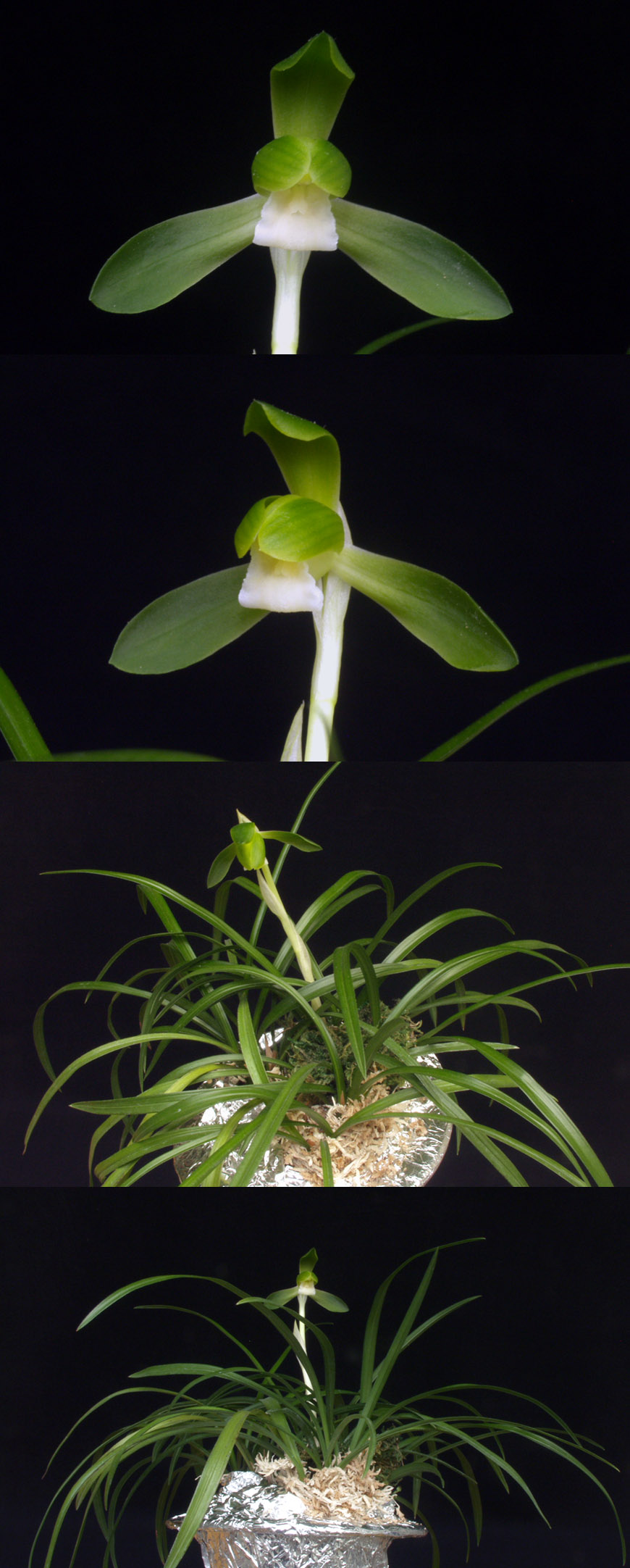 ������ ū������ �� �� �ֽ��ϴ�.