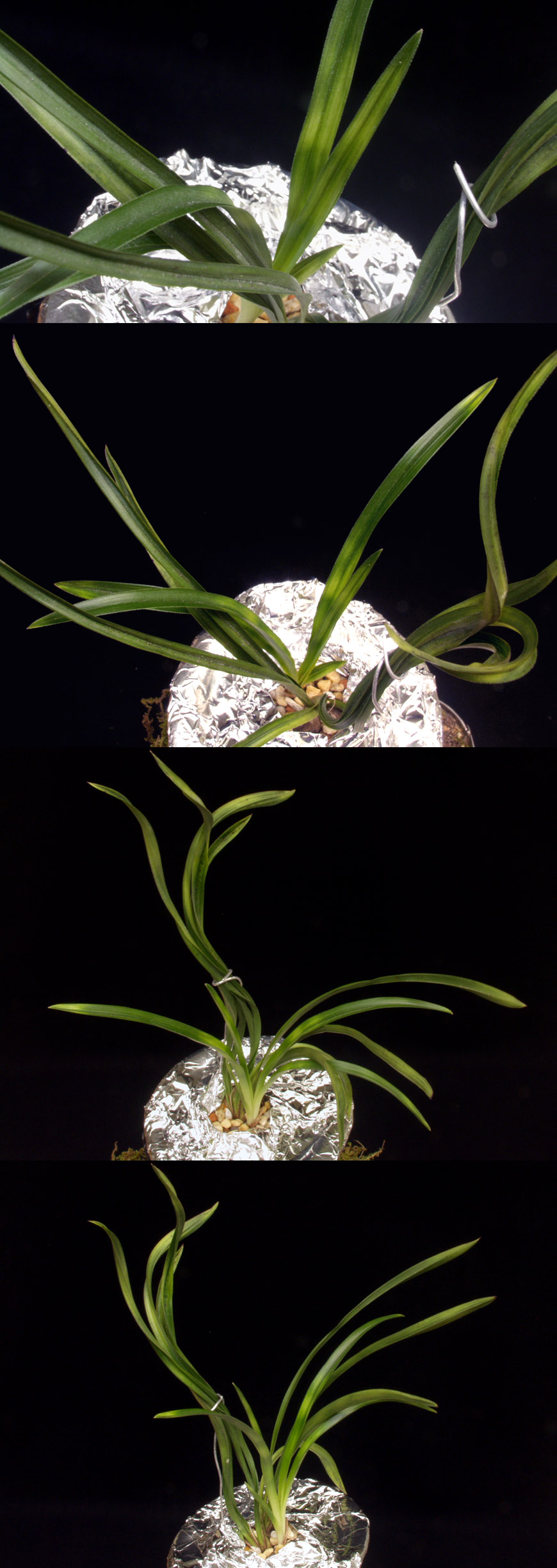 ������ ū������ �� �� �ֽ��ϴ�.