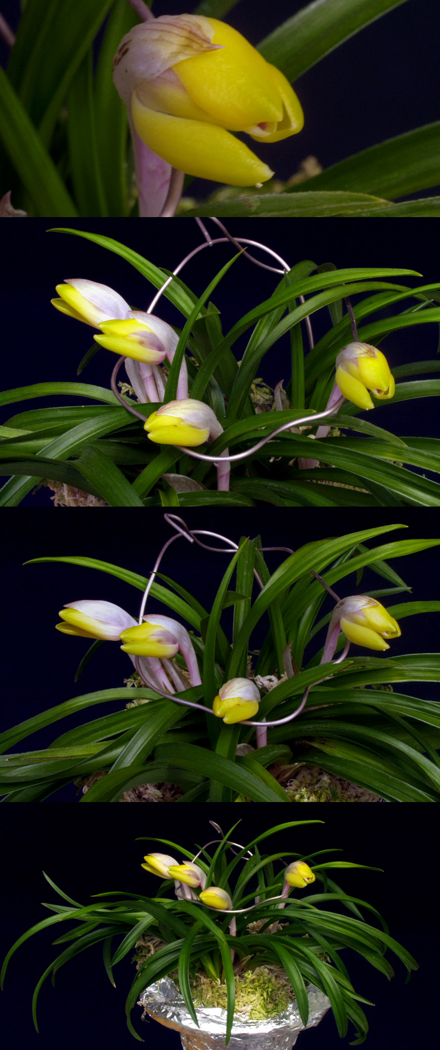 ������ ū������ �� �� �ֽ��ϴ�.