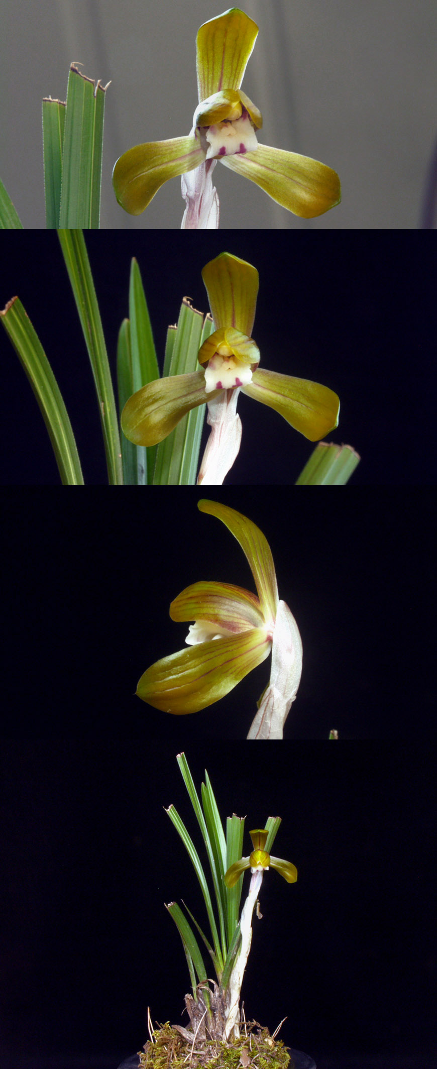 ������ ū������ �� �� �ֽ��ϴ�.