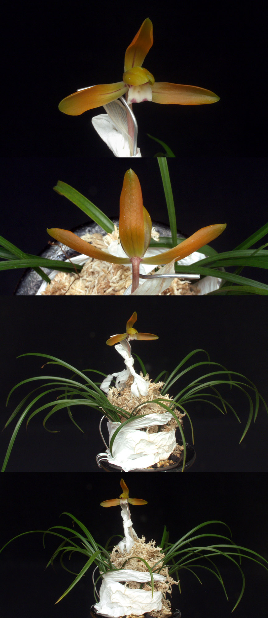 ������ ū������ �� �� �ֽ��ϴ�.