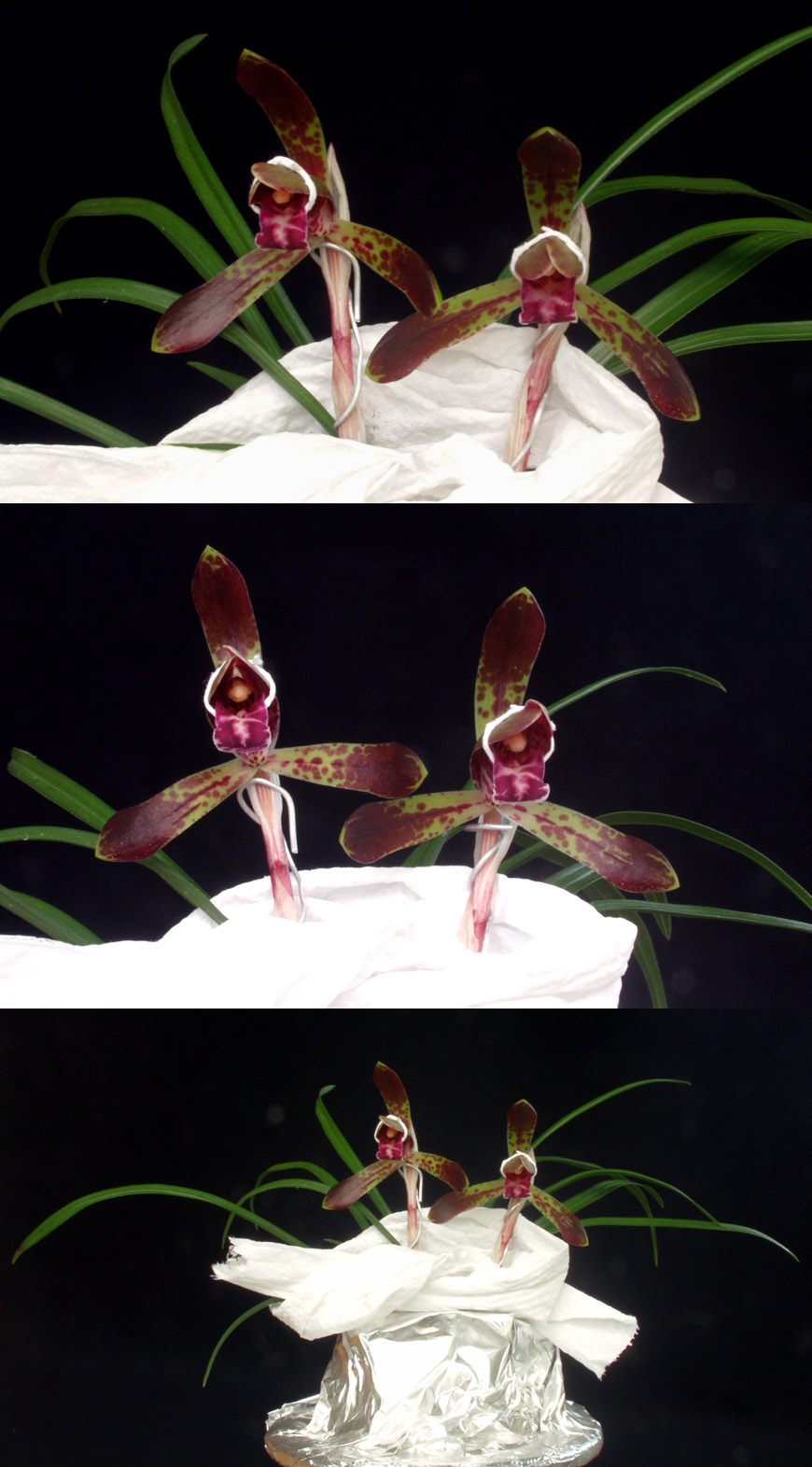 ������ ū������ �� �� �ֽ��ϴ�.