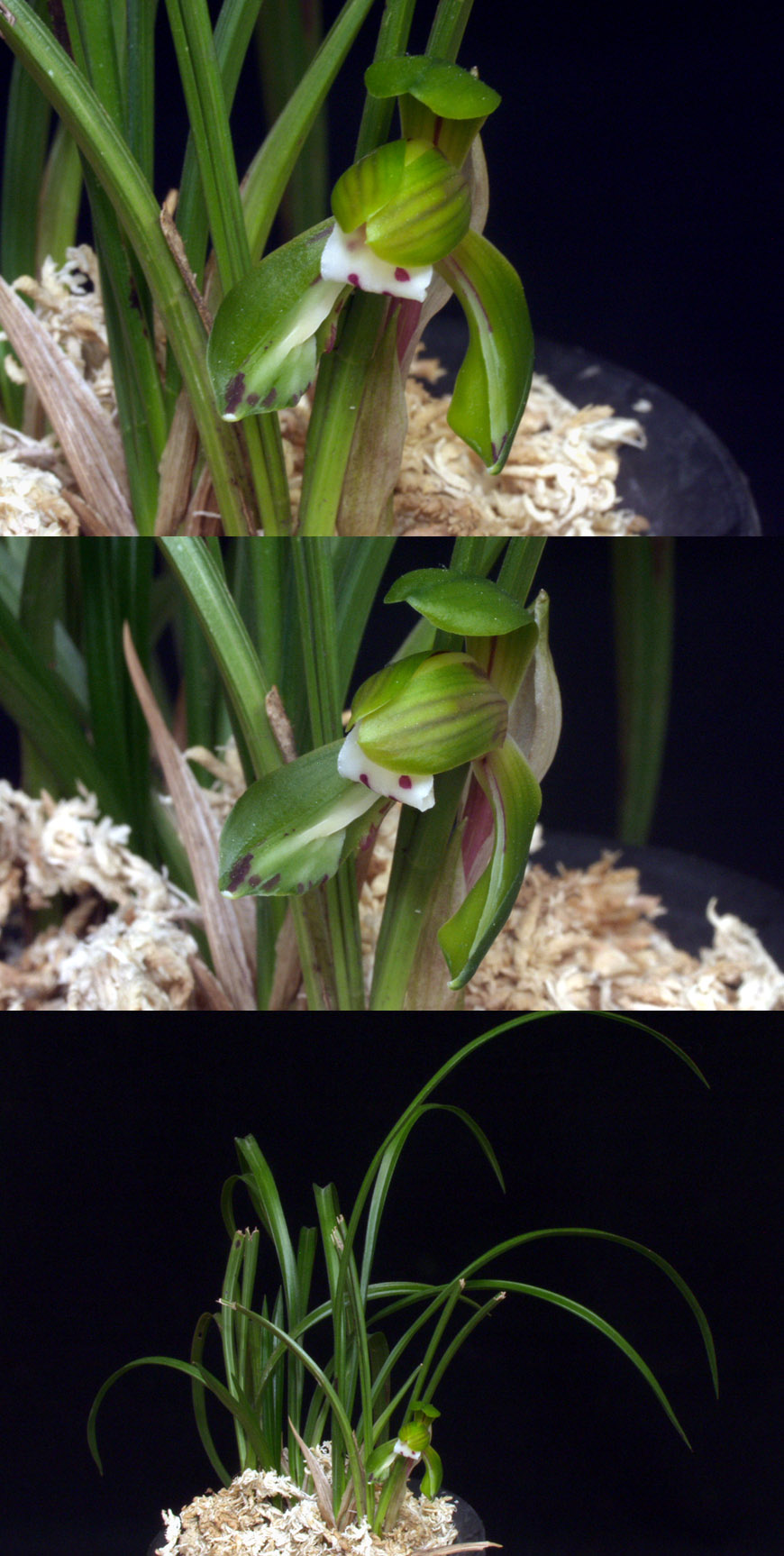 ������ ū������ �� �� �ֽ��ϴ�.