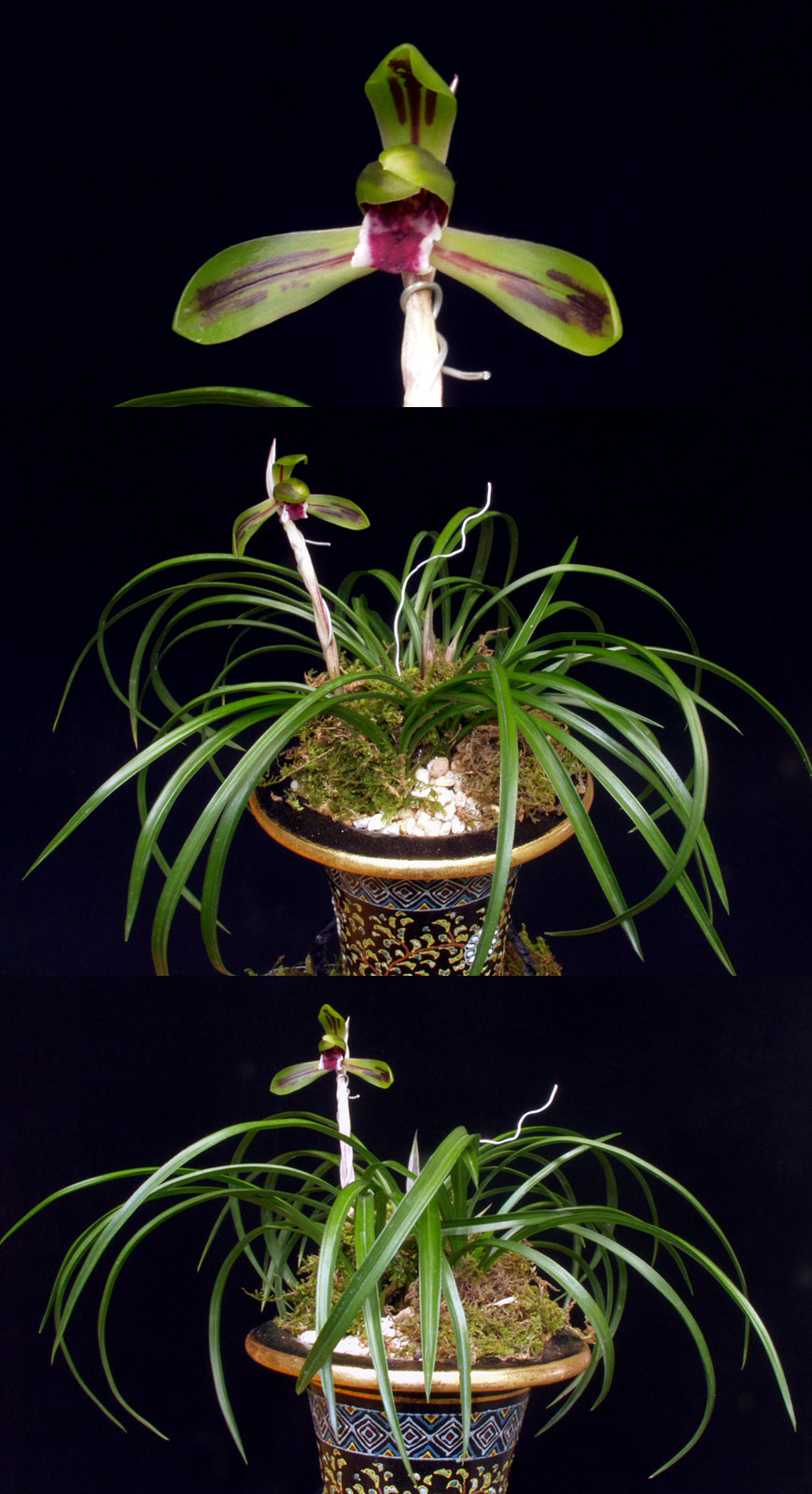 ������ ū������ �� �� �ֽ��ϴ�.