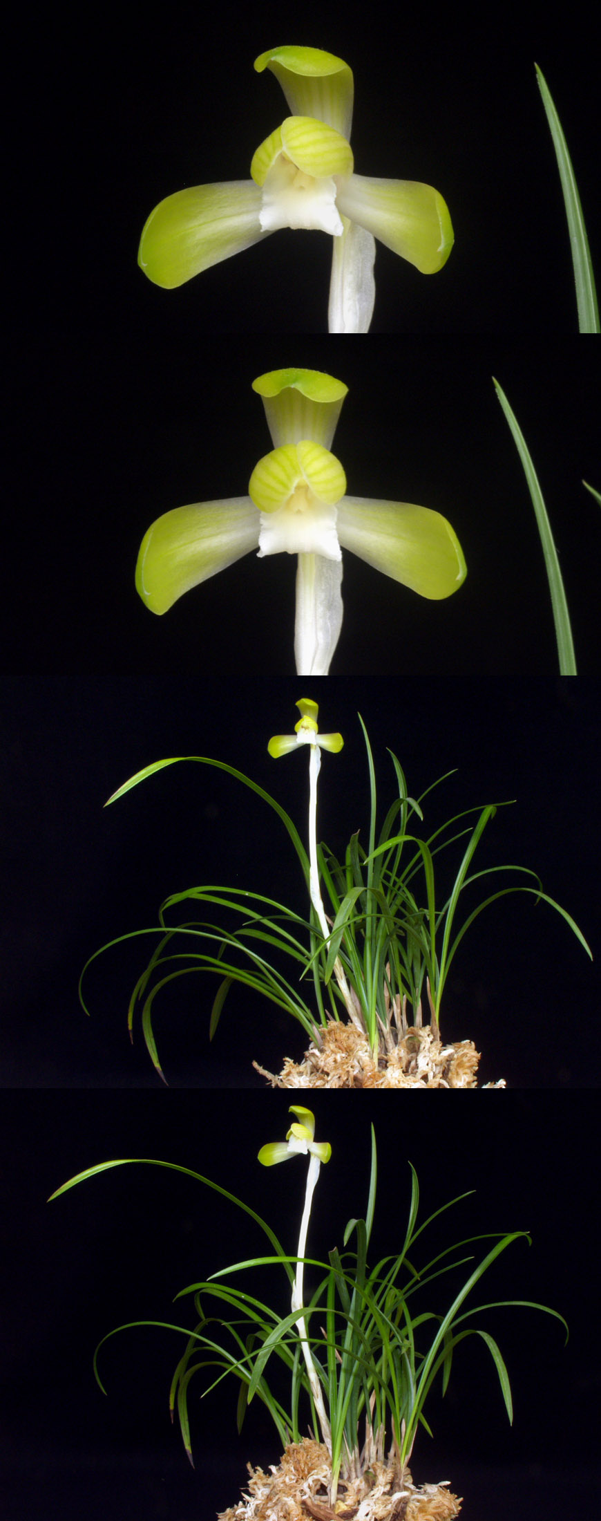 ������ ū������ �� �� �ֽ��ϴ�.