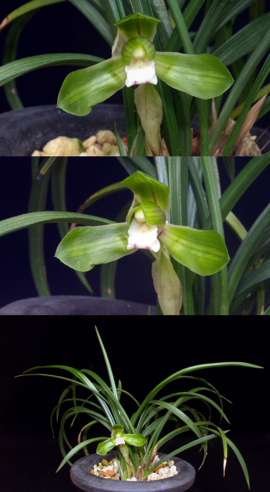 ������ ū������ �� �� �ֽ��ϴ�.