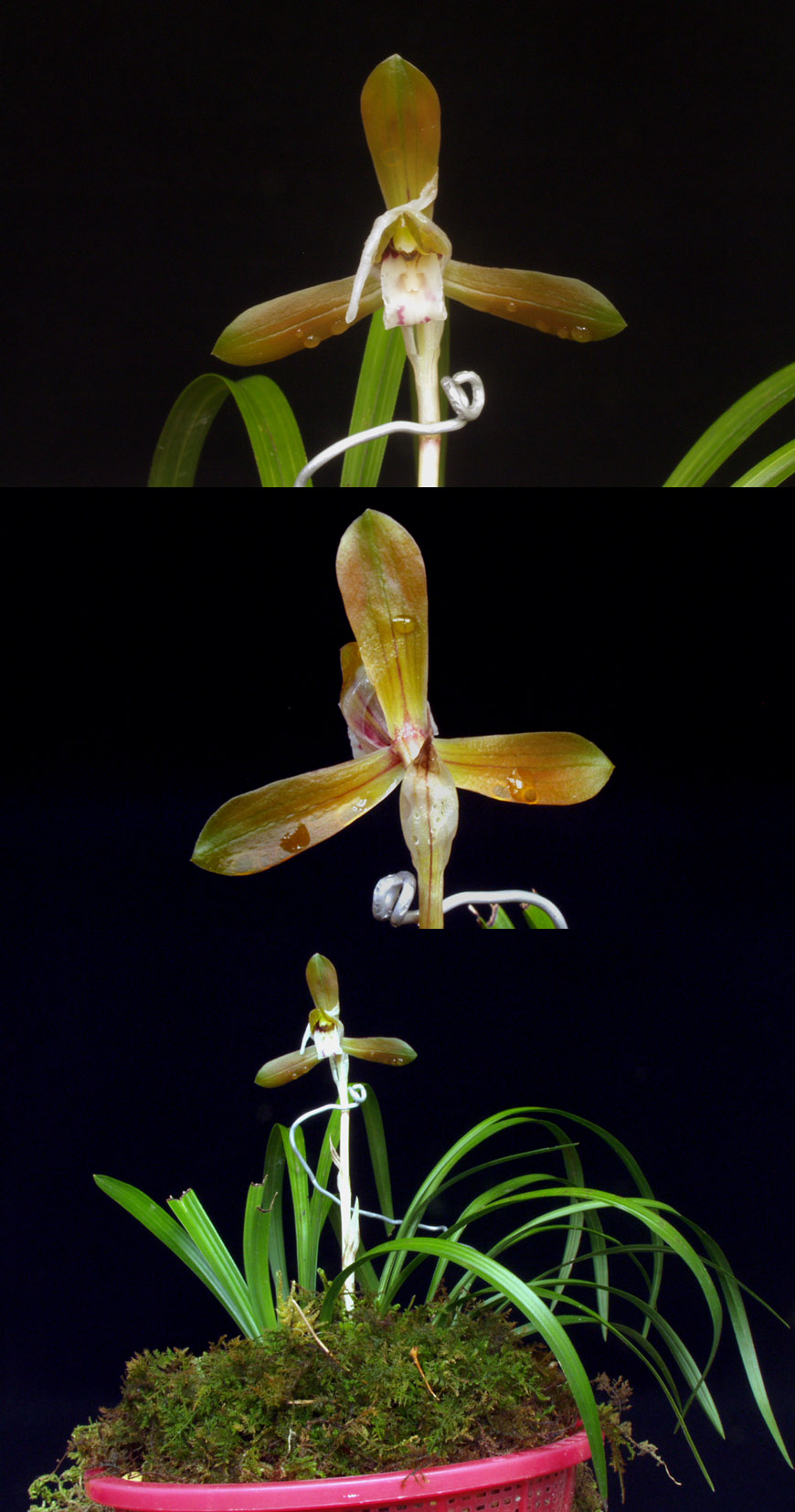 ������ ū������ �� �� �ֽ��ϴ�.