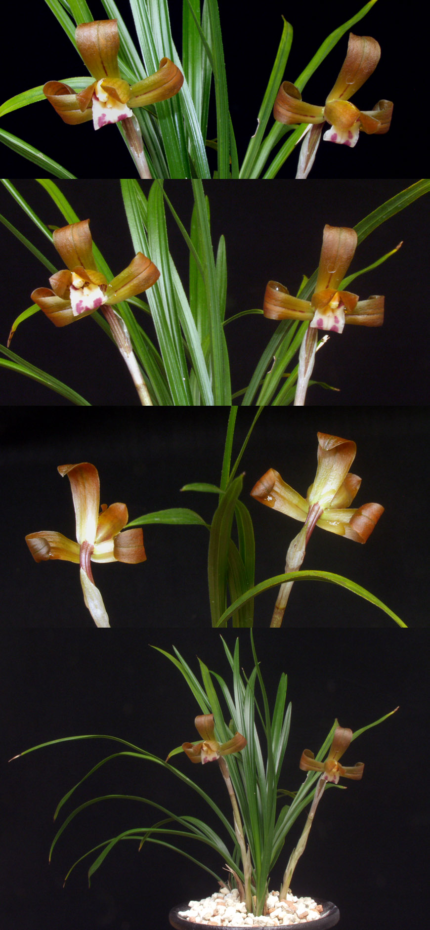 ������ ū������ �� �� �ֽ��ϴ�.