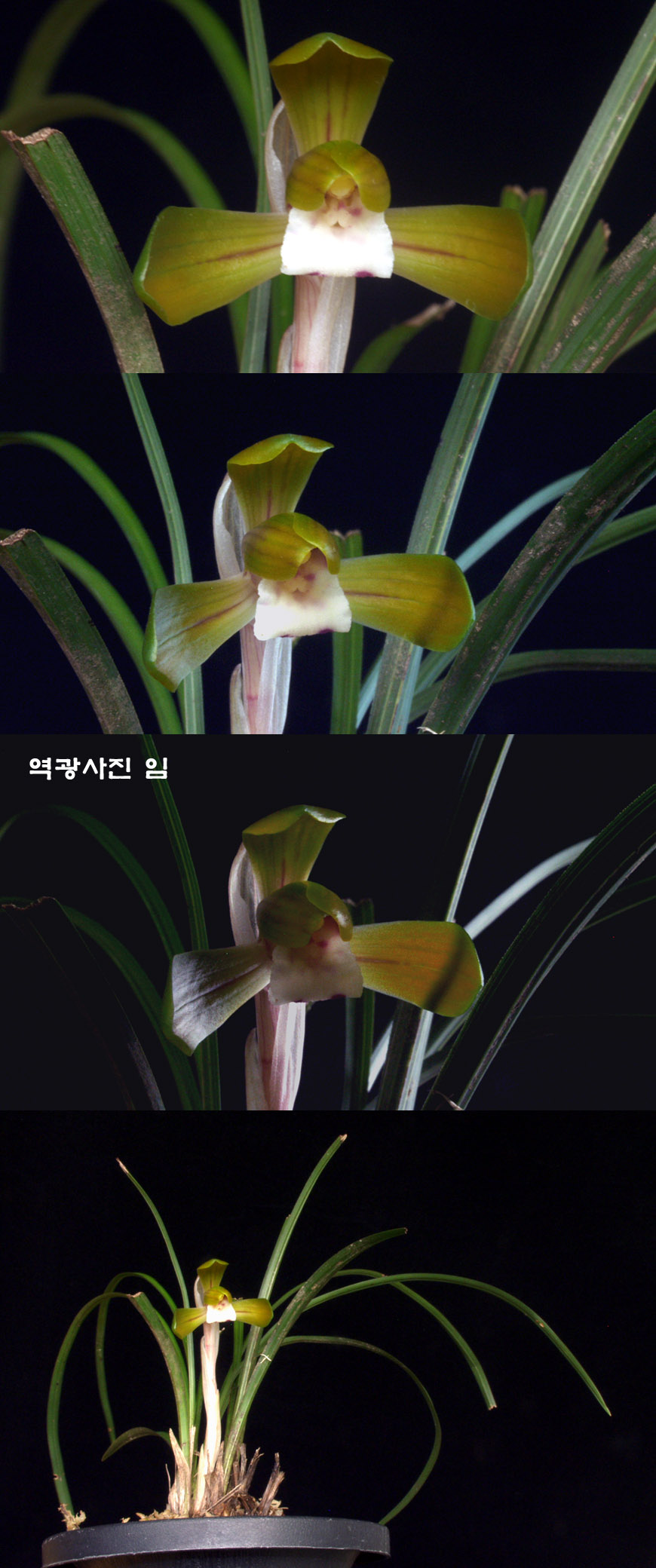 ������ ū������ �� �� �ֽ��ϴ�.