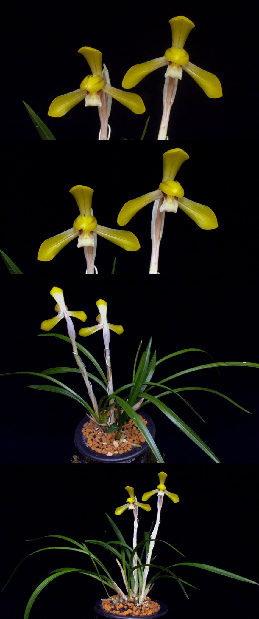 ������ ū������ �� �� �ֽ��ϴ�.