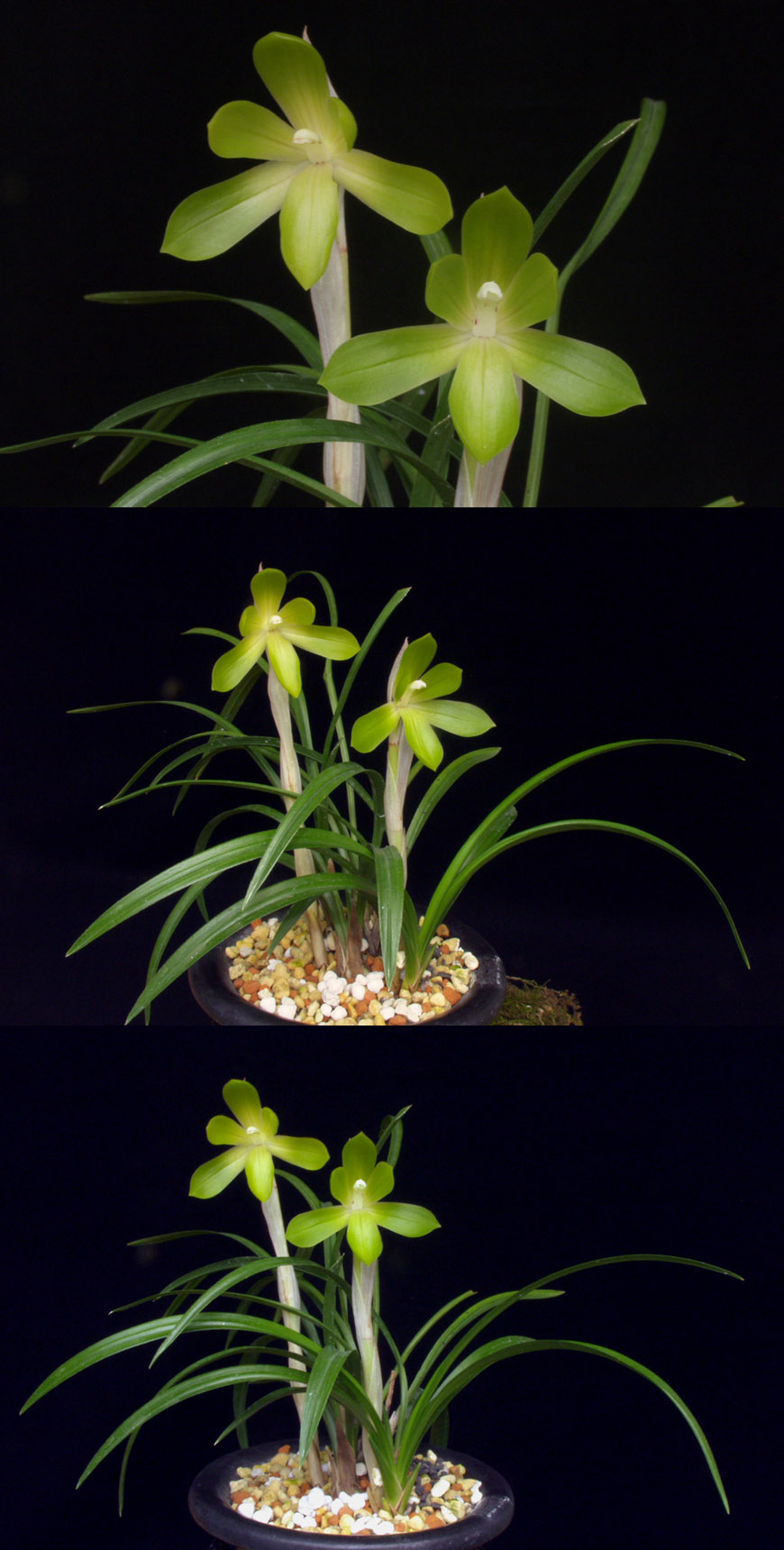 ������ ū������ �� �� �ֽ��ϴ�.