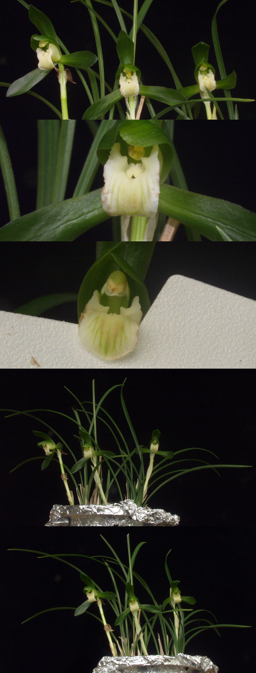 ������ ū������ �� �� �ֽ��ϴ�.