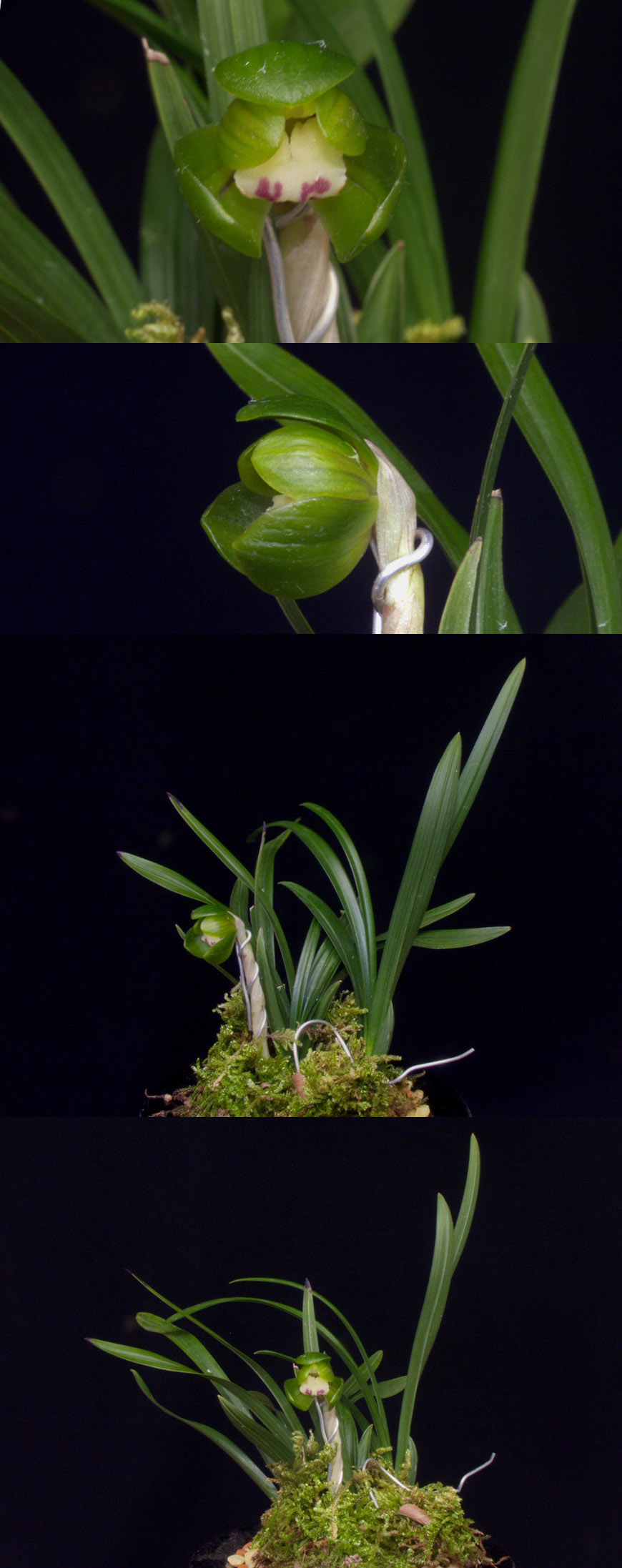 ������ ū������ �� �� �ֽ��ϴ�.