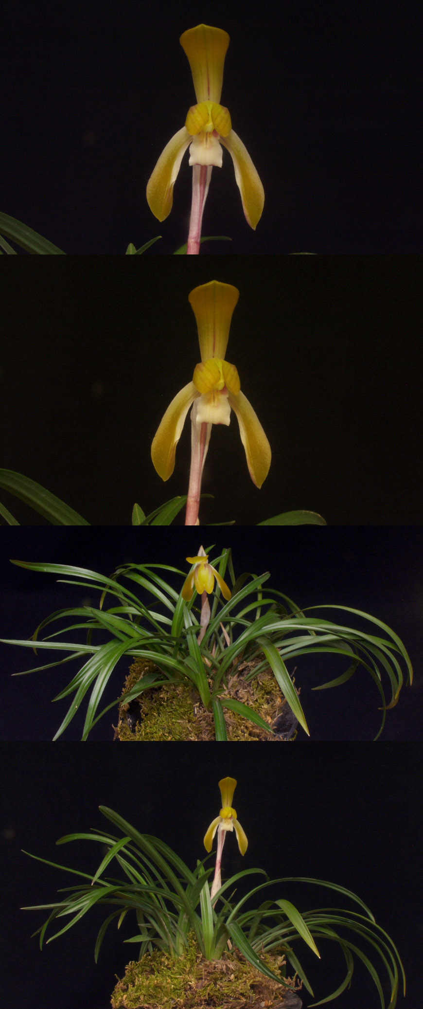 ������ ū������ �� �� �ֽ��ϴ�.