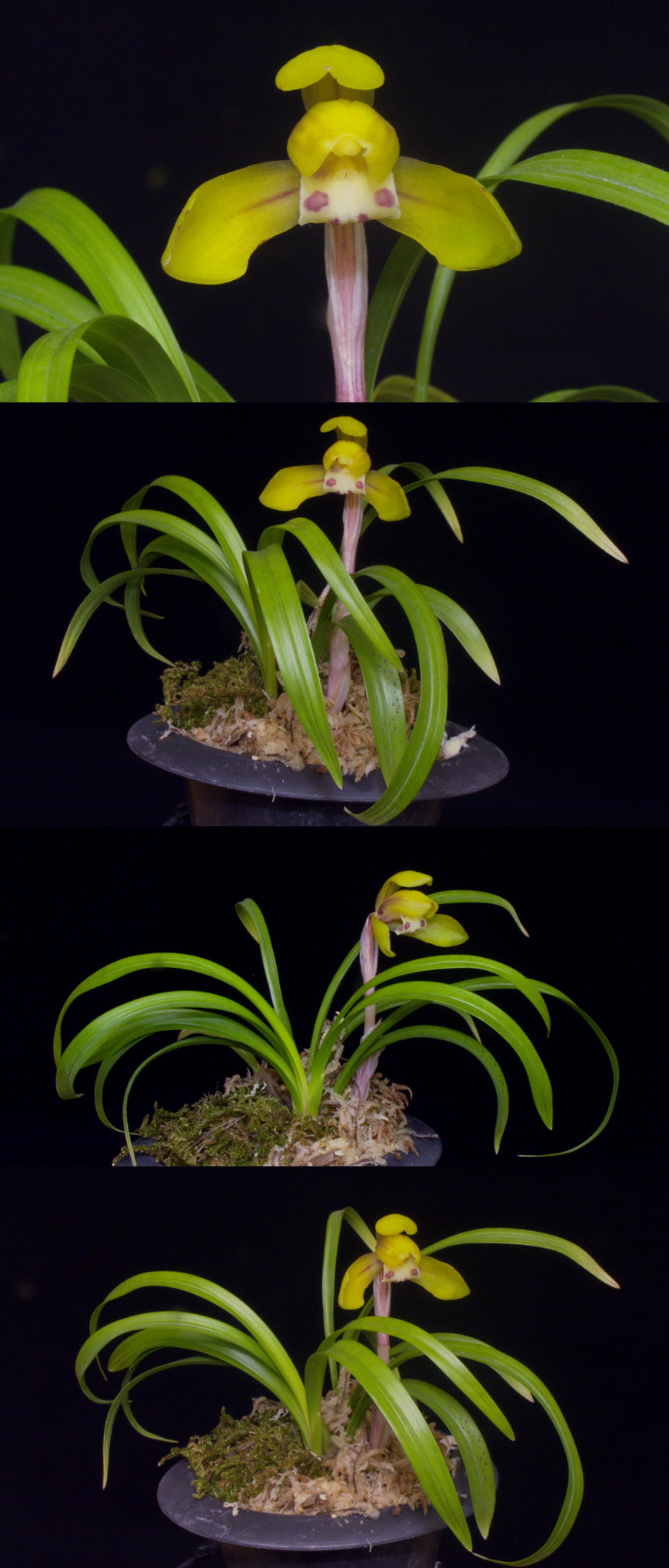 ������ ū������ �� �� �ֽ��ϴ�.