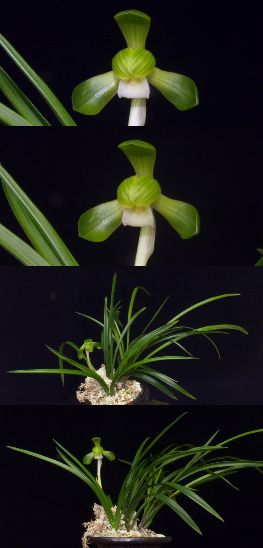 ������ ū������ �� �� �ֽ��ϴ�.