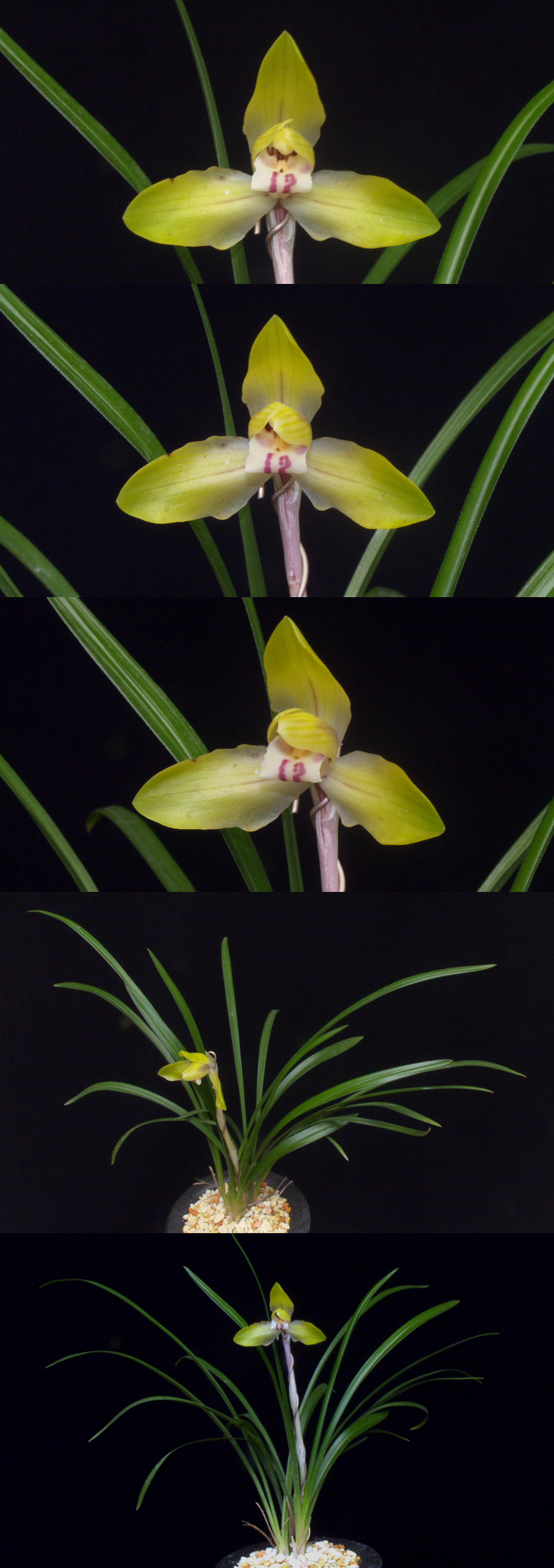 ������ ū������ �� �� �ֽ��ϴ�.