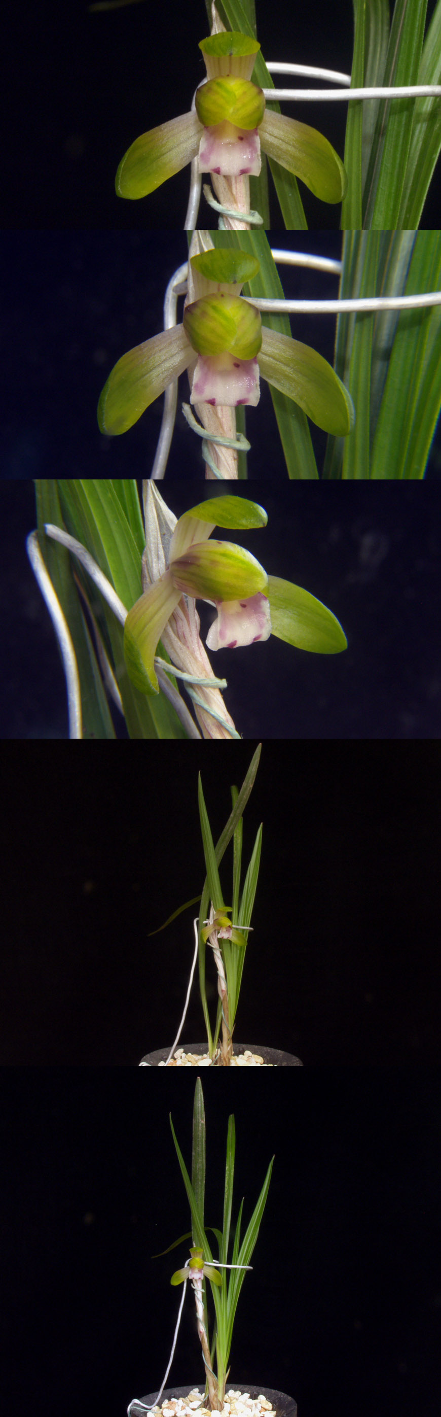 ������ ū������ �� �� �ֽ��ϴ�.