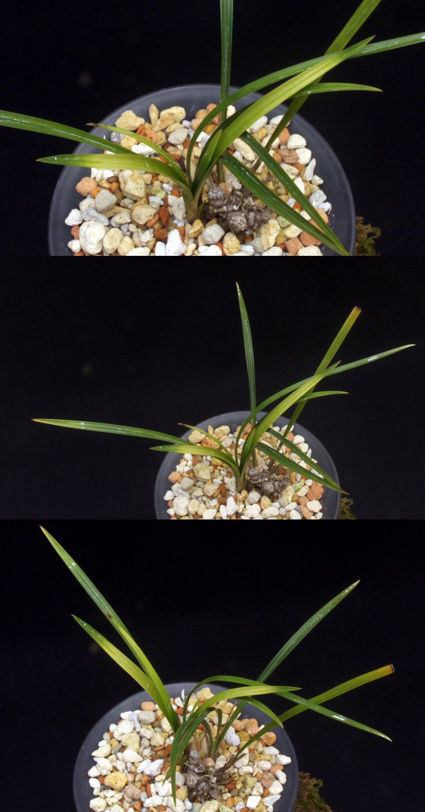 ������ ū������ �� �� �ֽ��ϴ�.