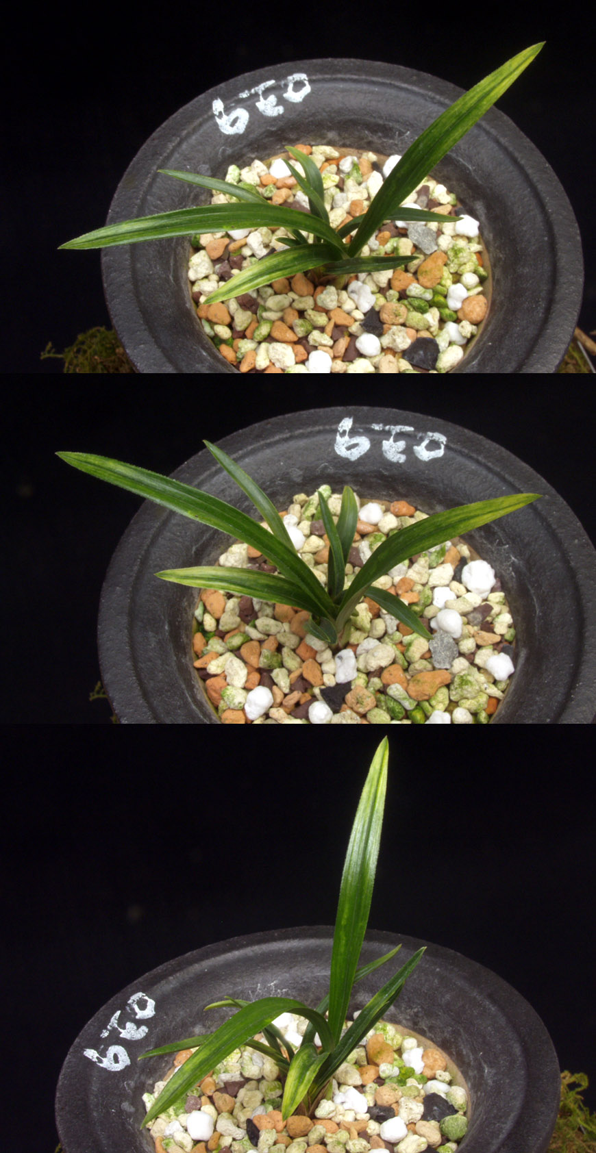 ������ ū������ �� �� �ֽ��ϴ�.