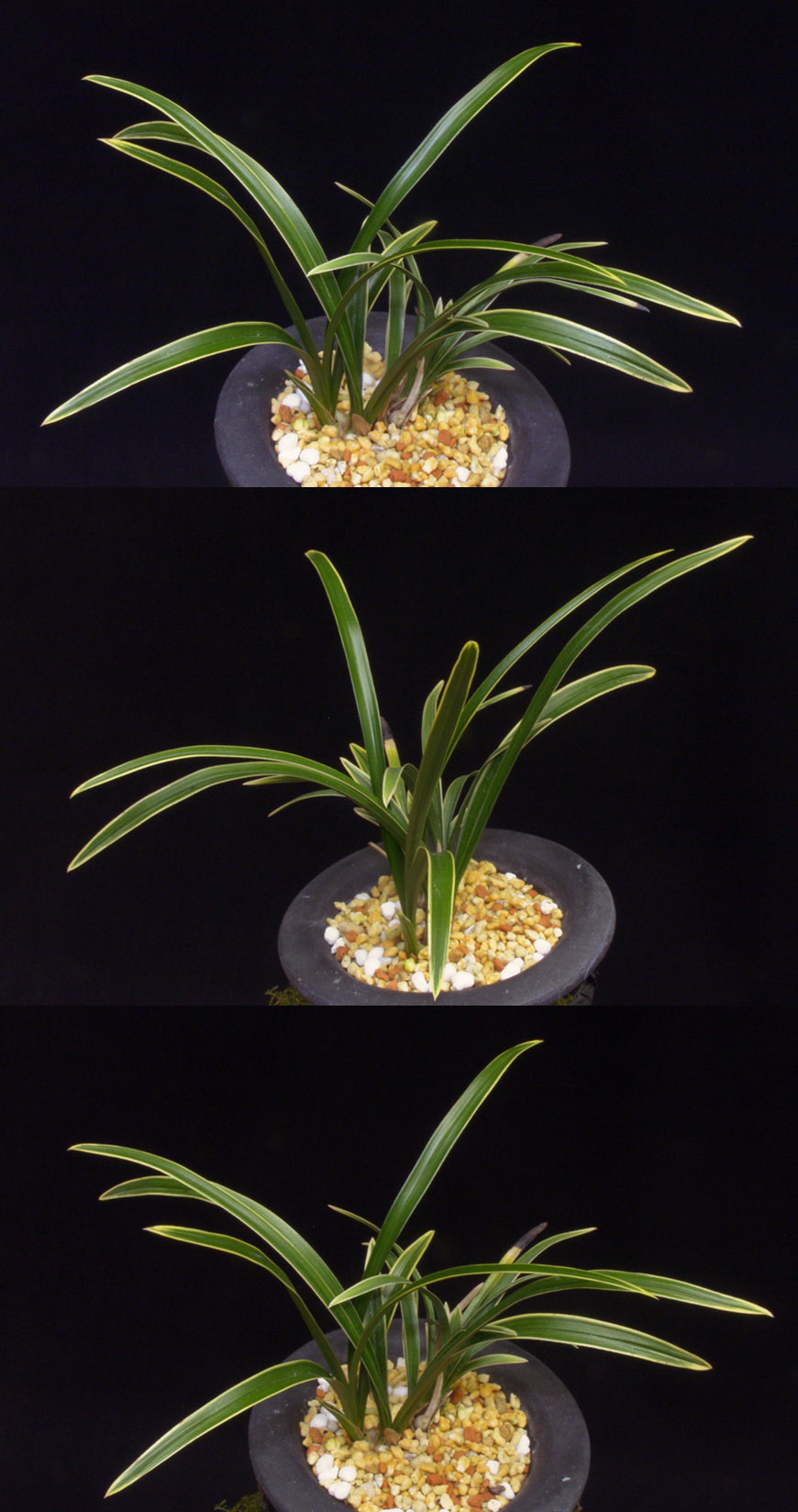 ������ ū������ �� �� �ֽ��ϴ�.