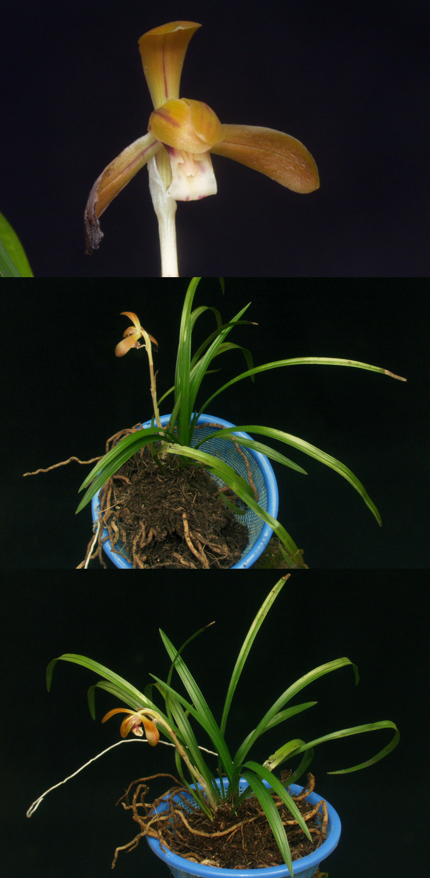 ������ ū������ �� �� �ֽ��ϴ�.