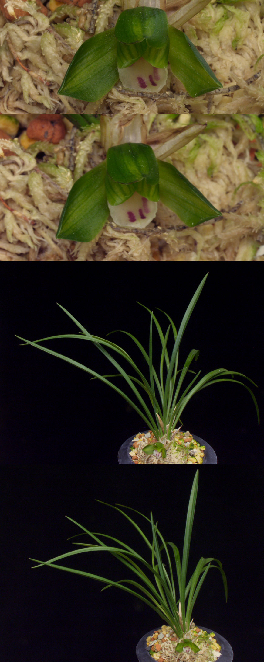 ������ ū������ �� �� �ֽ��ϴ�.